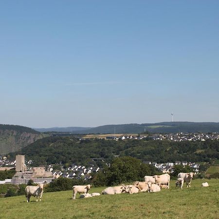 Ferienwohnung Auf Der Moselhoehe - Naehe Koblenz Und Cochem Dieblich Dış mekan fotoğraf