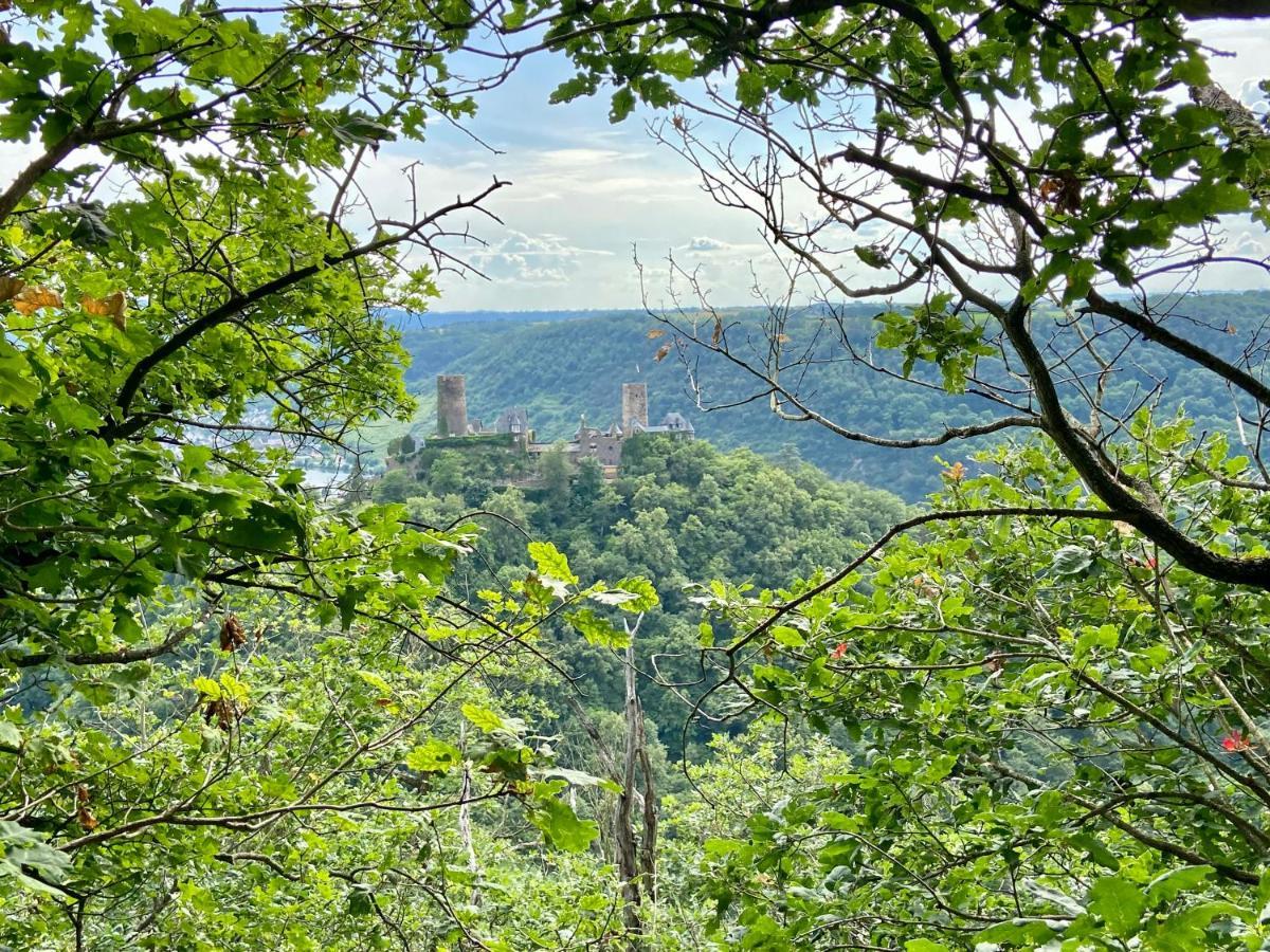Ferienwohnung Auf Der Moselhoehe - Naehe Koblenz Und Cochem Dieblich Dış mekan fotoğraf