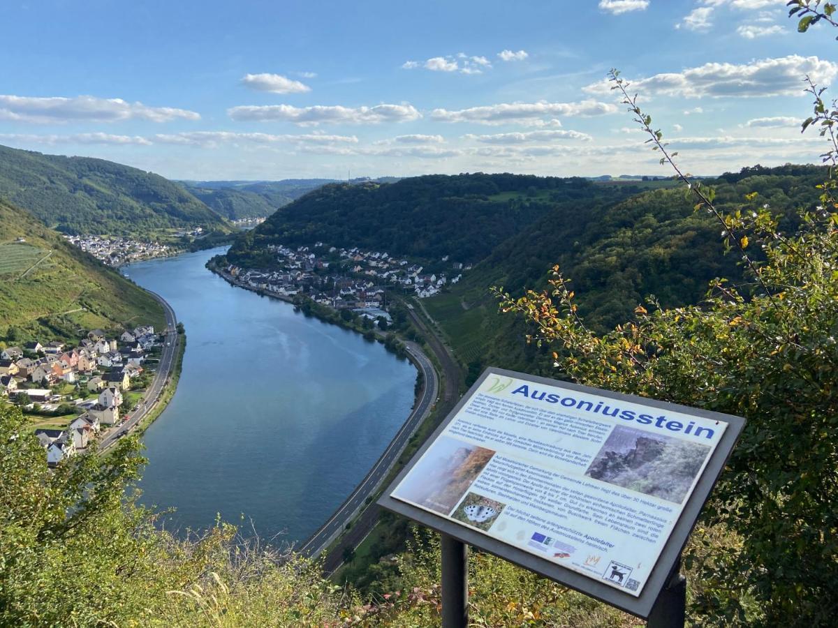 Ferienwohnung Auf Der Moselhoehe - Naehe Koblenz Und Cochem Dieblich Dış mekan fotoğraf