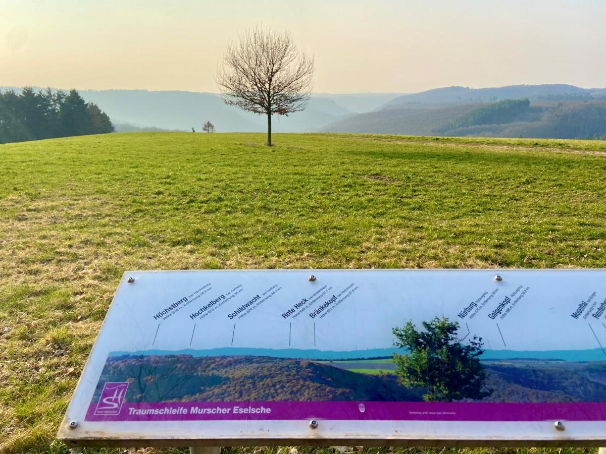 Ferienwohnung Auf Der Moselhoehe - Naehe Koblenz Und Cochem Dieblich Dış mekan fotoğraf