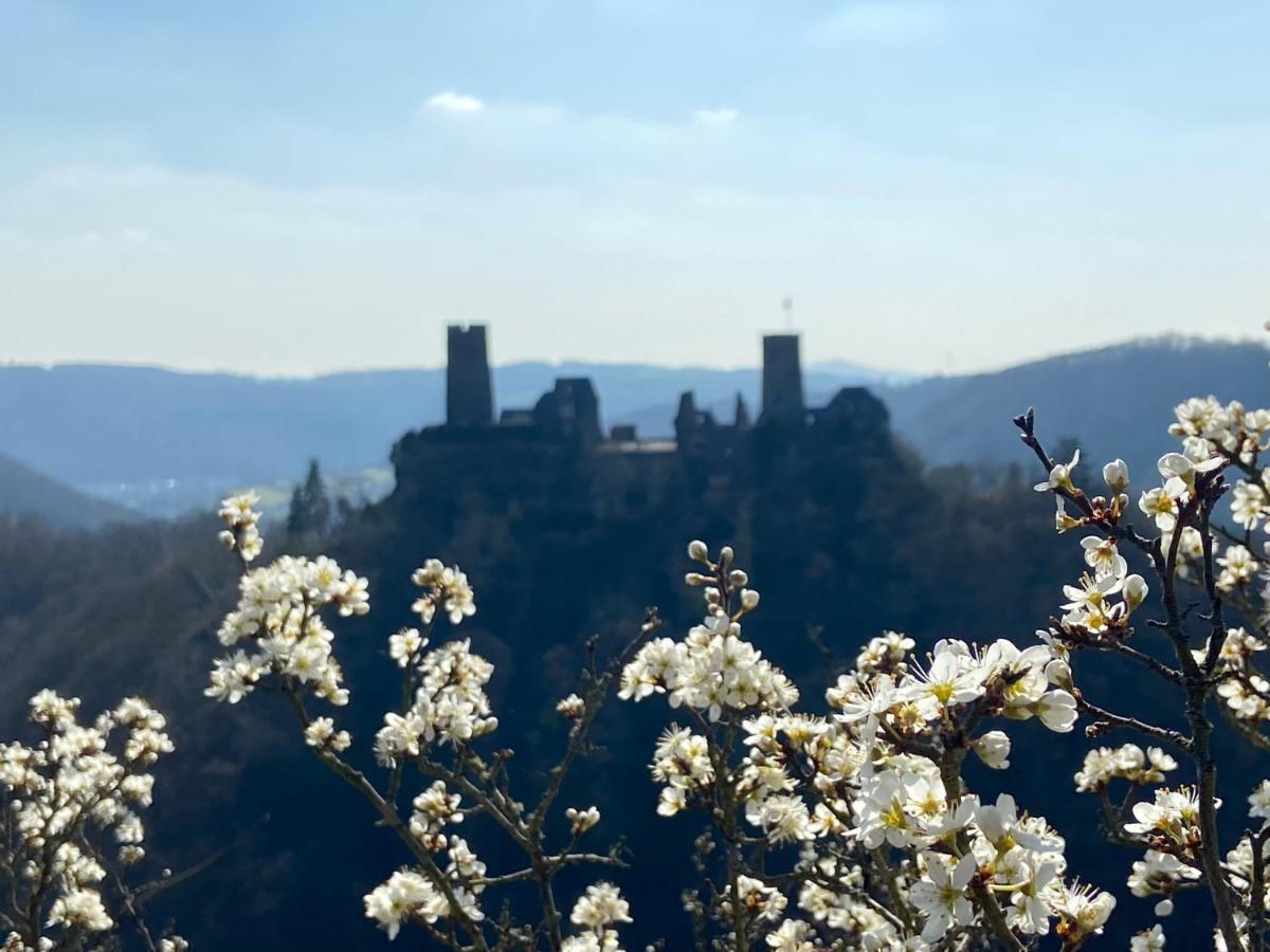 Ferienwohnung Auf Der Moselhoehe - Naehe Koblenz Und Cochem Dieblich Dış mekan fotoğraf