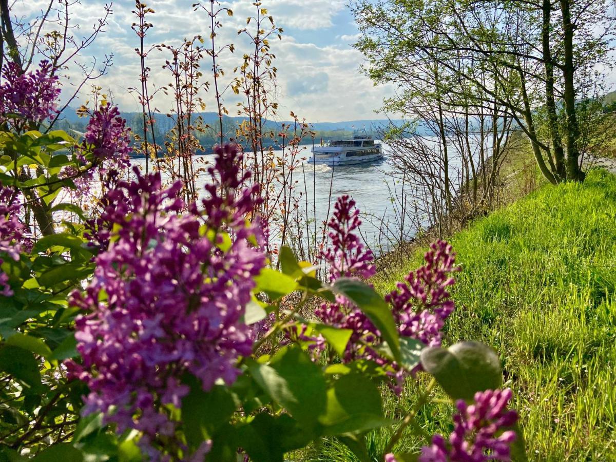 Ferienwohnung Auf Der Moselhoehe - Naehe Koblenz Und Cochem Dieblich Dış mekan fotoğraf