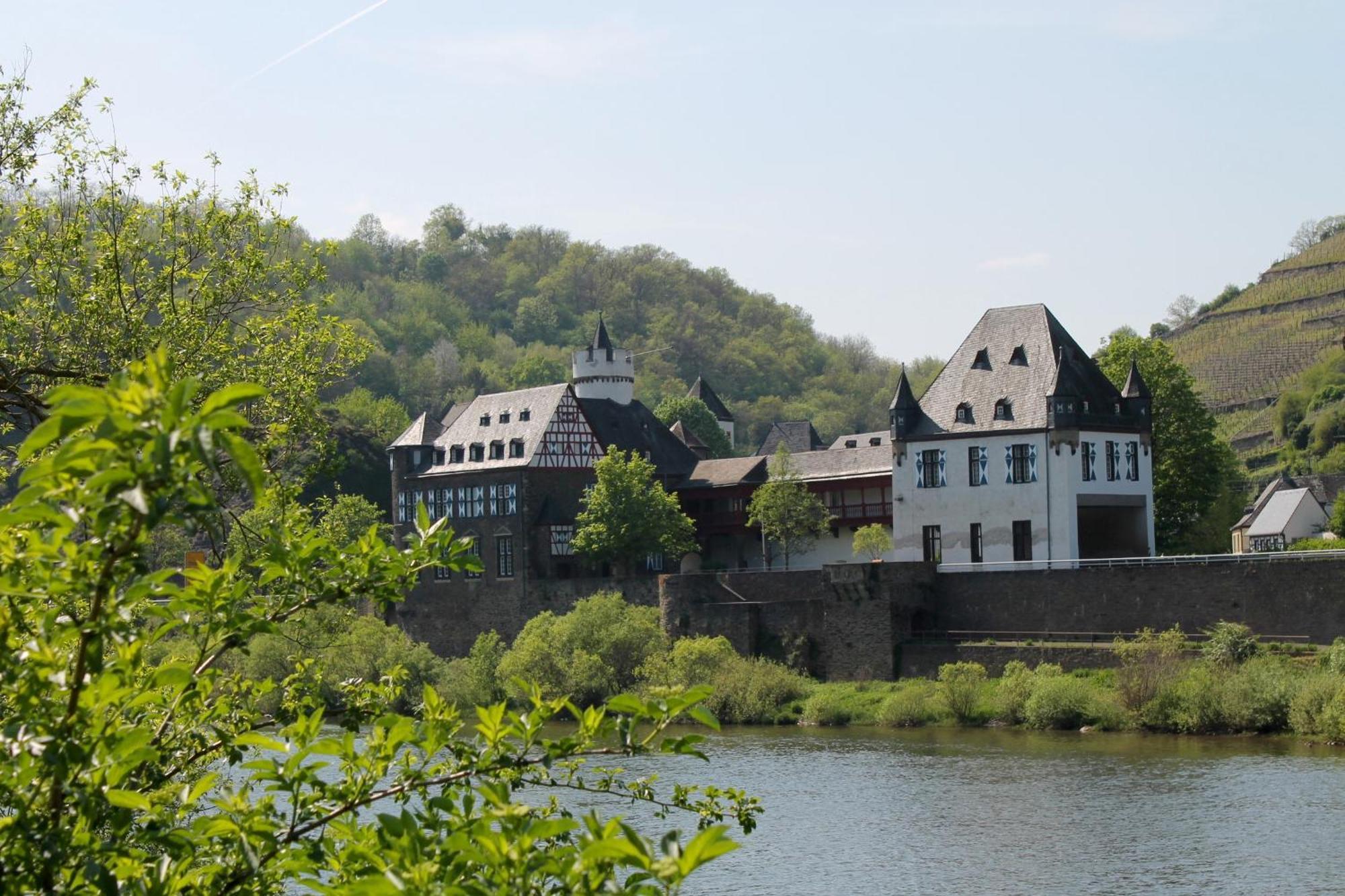 Ferienwohnung Auf Der Moselhoehe - Naehe Koblenz Und Cochem Dieblich Dış mekan fotoğraf