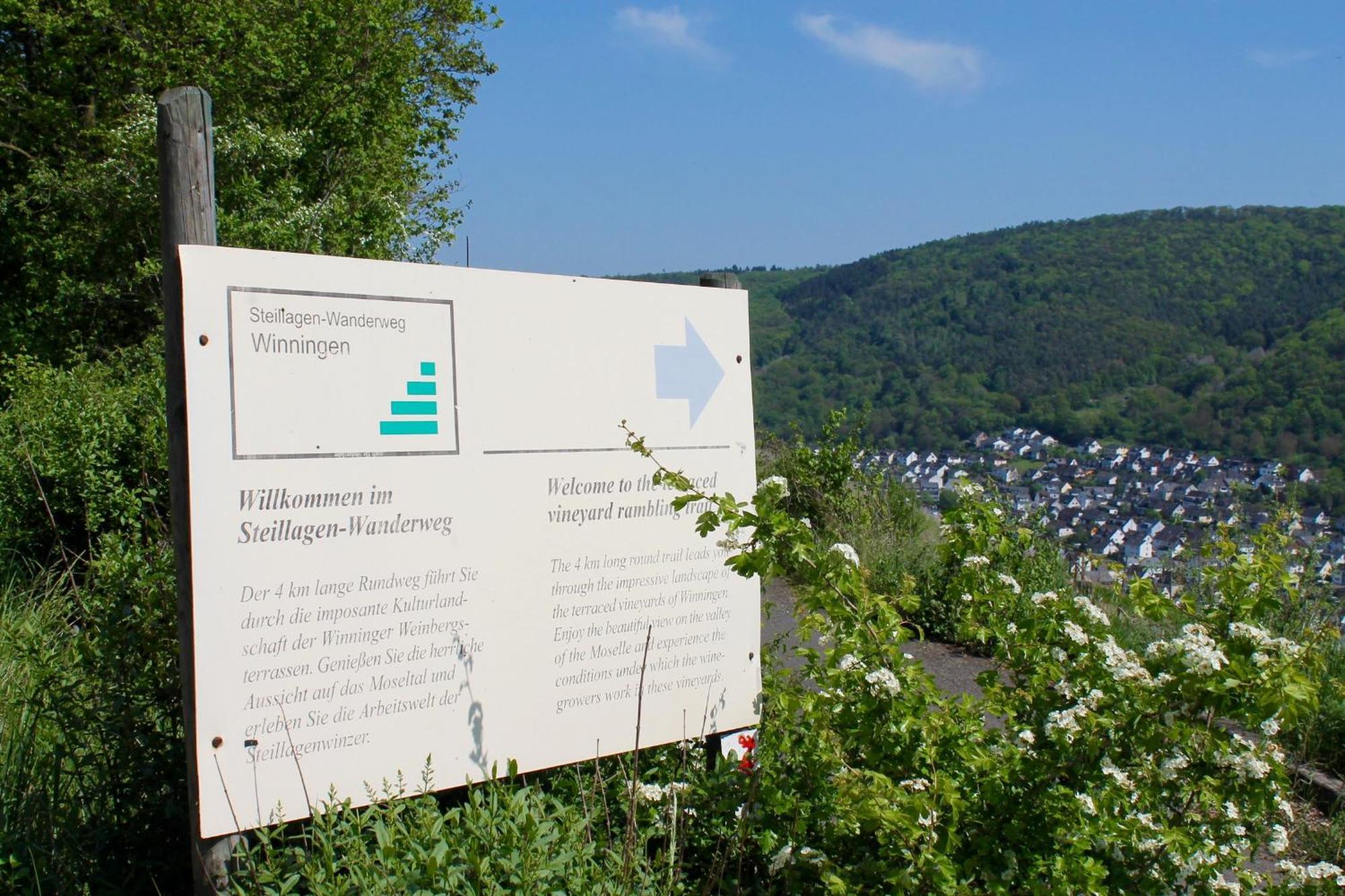 Ferienwohnung Auf Der Moselhoehe - Naehe Koblenz Und Cochem Dieblich Dış mekan fotoğraf