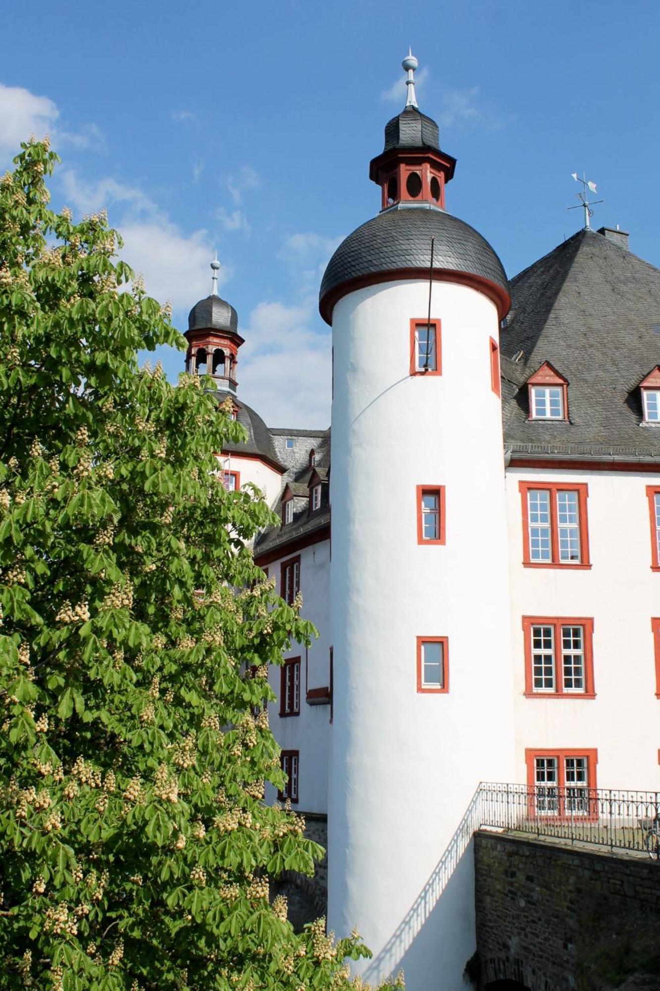 Ferienwohnung Auf Der Moselhoehe - Naehe Koblenz Und Cochem Dieblich Dış mekan fotoğraf