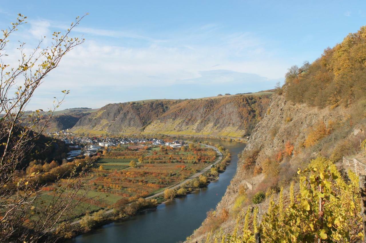 Ferienwohnung Auf Der Moselhoehe - Naehe Koblenz Und Cochem Dieblich Dış mekan fotoğraf