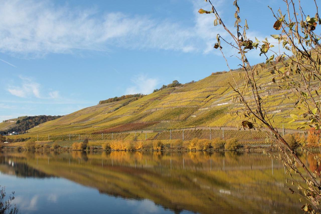 Ferienwohnung Auf Der Moselhoehe - Naehe Koblenz Und Cochem Dieblich Dış mekan fotoğraf