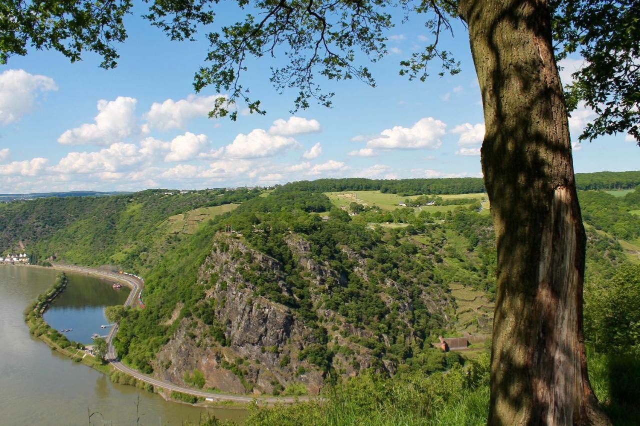 Ferienwohnung Auf Der Moselhoehe - Naehe Koblenz Und Cochem Dieblich Dış mekan fotoğraf