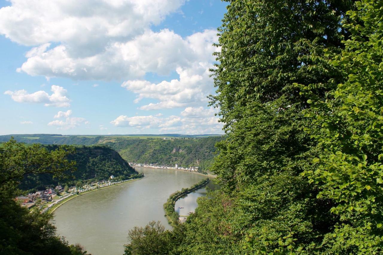 Ferienwohnung Auf Der Moselhoehe - Naehe Koblenz Und Cochem Dieblich Dış mekan fotoğraf